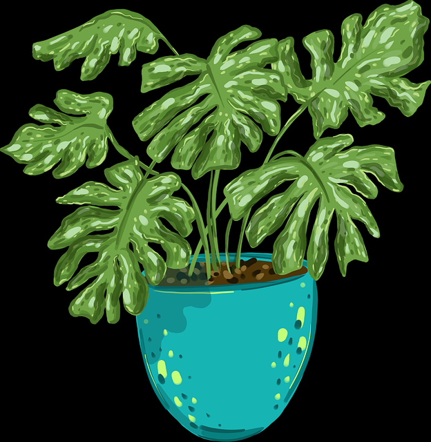 从互动秘籍看糖心tv官网：67个关键点【附案例】