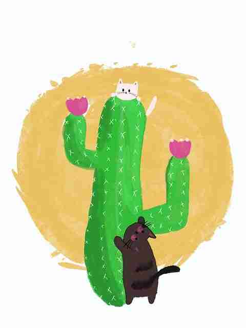 糖心tv官网×粉丝经济：2023爆款逻辑·年度精选