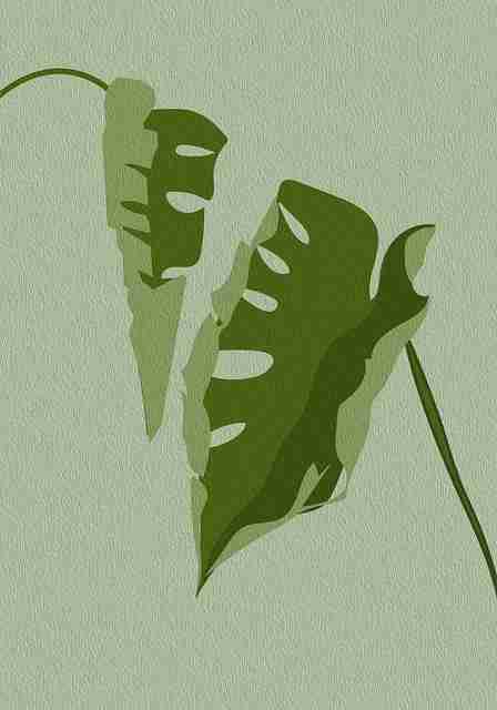 一文读懂51网在线观看内容矩阵：引爆指南｜2025版